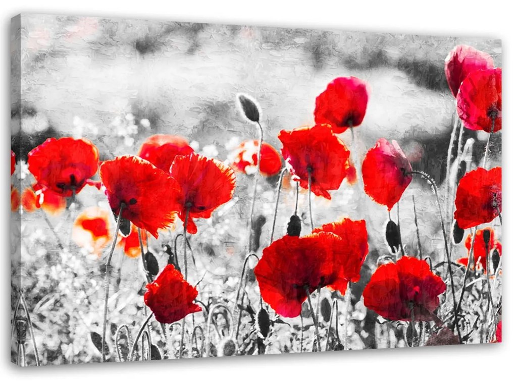 Gario Vászonkép Vörös mezei pipacsok Méret: 100 x 70 cm