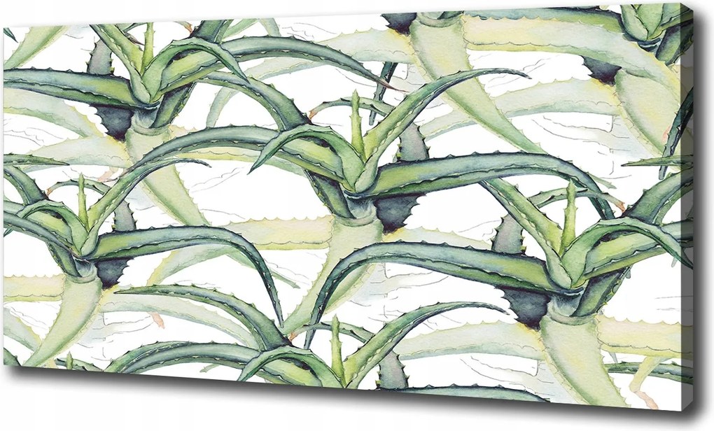Fotótapéta nappaliba Aloe vera 100x70 cm
