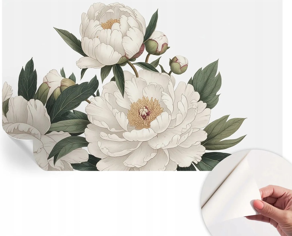 Fotótapéta Fali tapéta Hálószobába és Nappaliba Fehér peonie 416x254 cm
