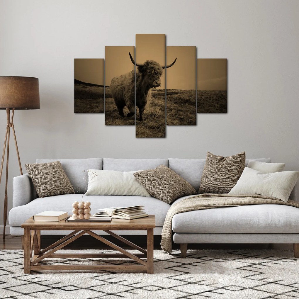 Kép - Skót tehén menekül (150x105 cm)