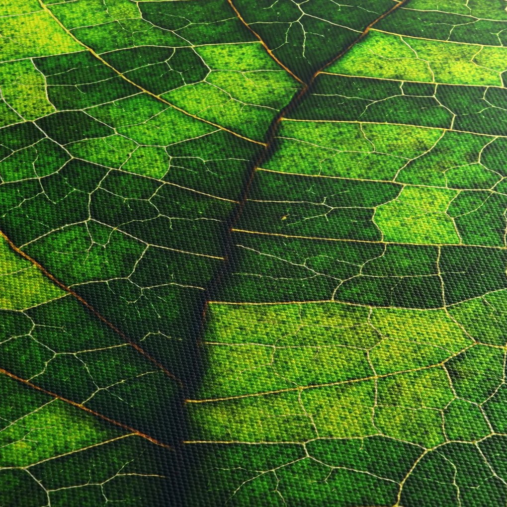 Kép - A lap részlete (órával) (90x30 cm)