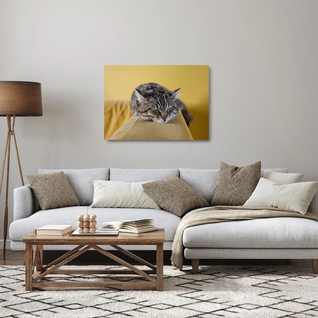 Macska a kanapén képe (üvegen) (70x50 cm)
