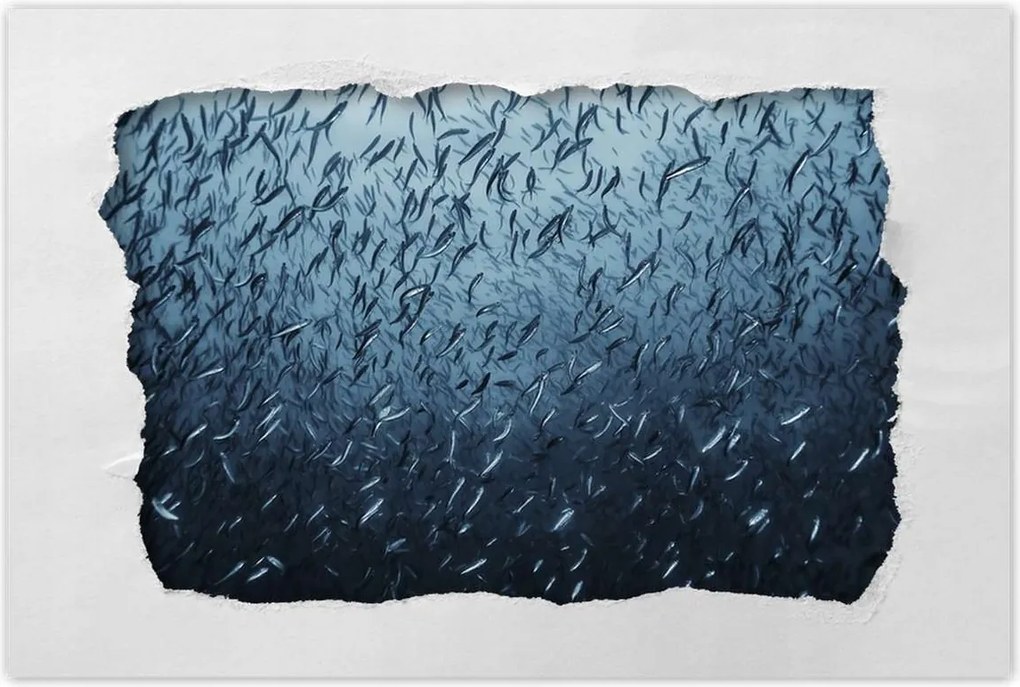 Poszterek 90x60 Túrázás halrajok víz