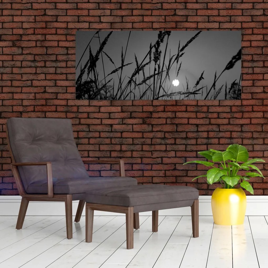 Kép - rét naplementével (120x50 cm)