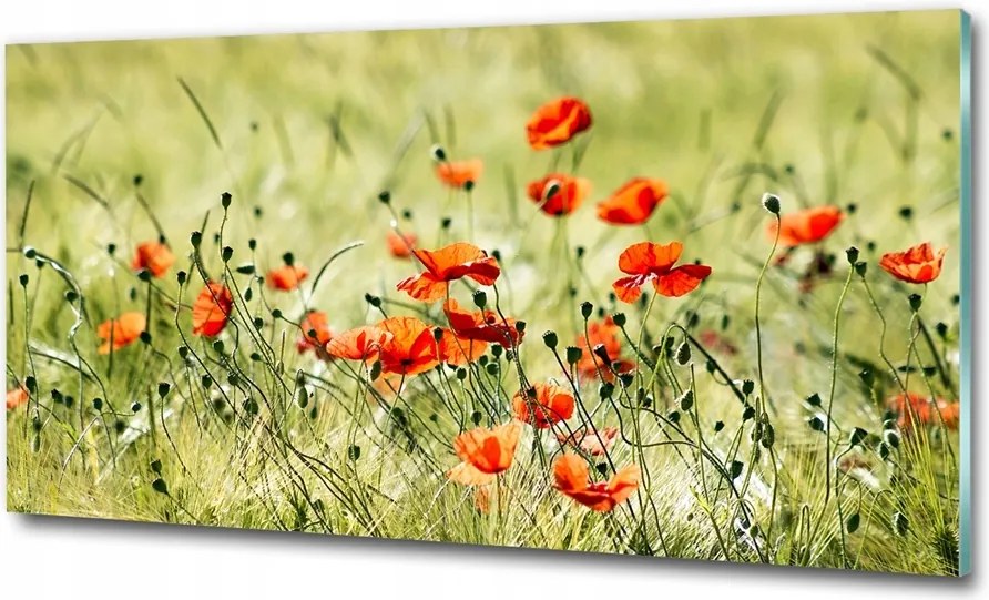 Fotó kép edzett üveg tölgyfa levelek 125x50