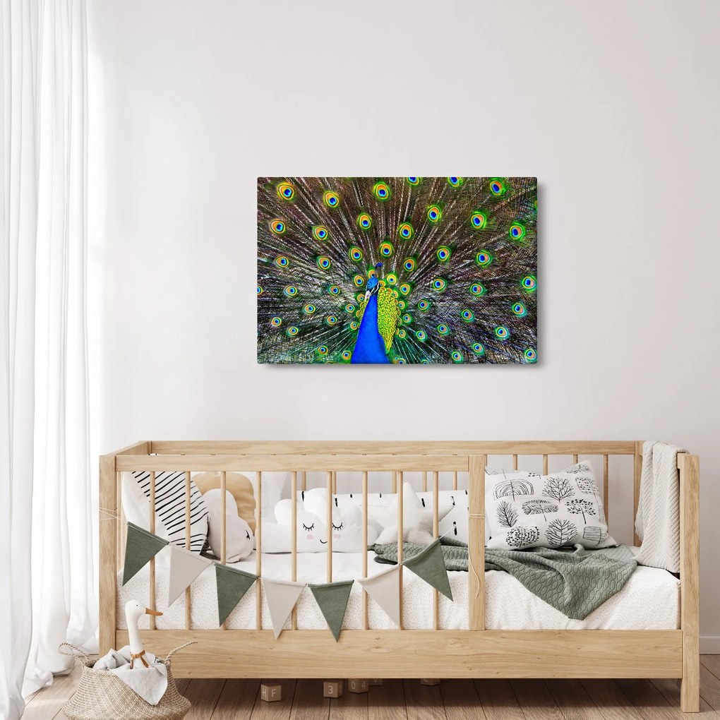 Kép - Páva (90x60 cm)
