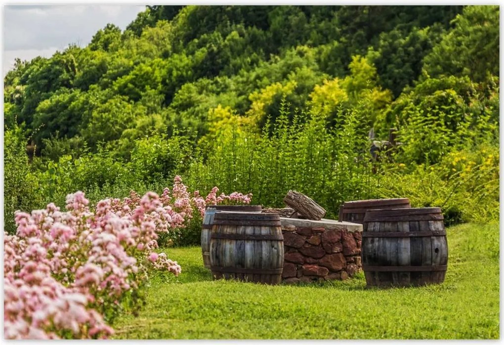 Poszterek 185x125 Csodálatos kert