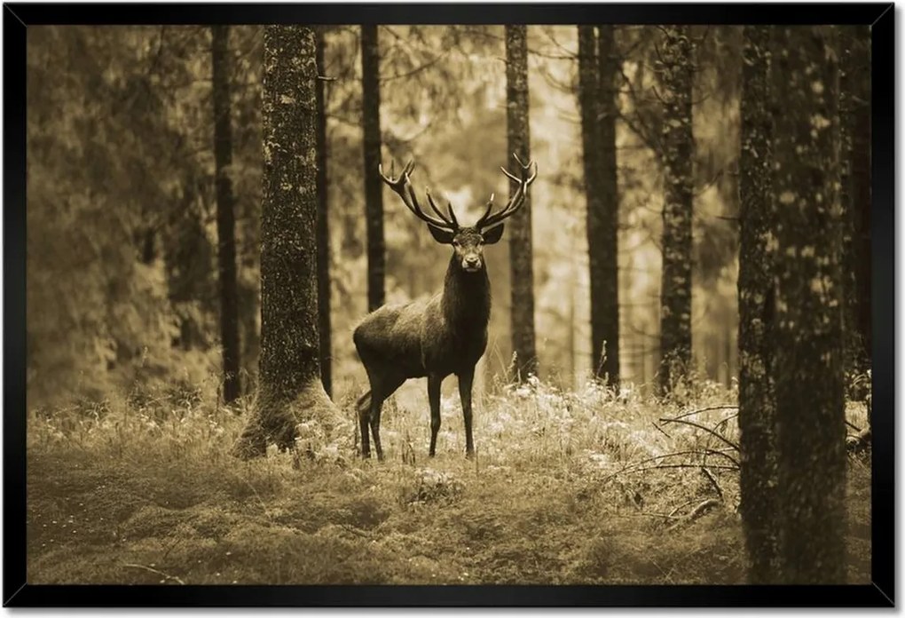 Poszter keretben 60x40 Szarvas a szépia erdőben