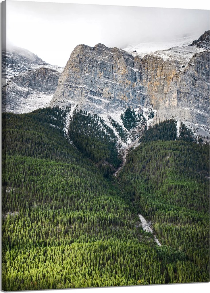 Vászonkép Canvas Természet Kilátás a hegyekre Erdő 50x70 cm