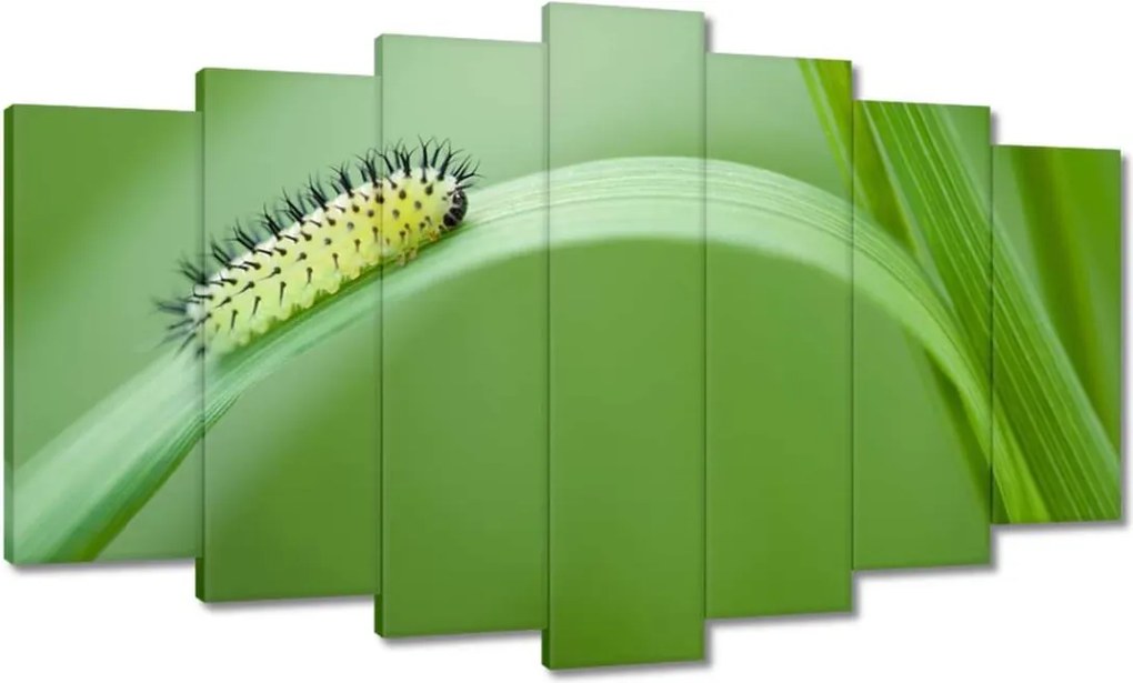 Vászonkép 140x80 Zöld hernyó