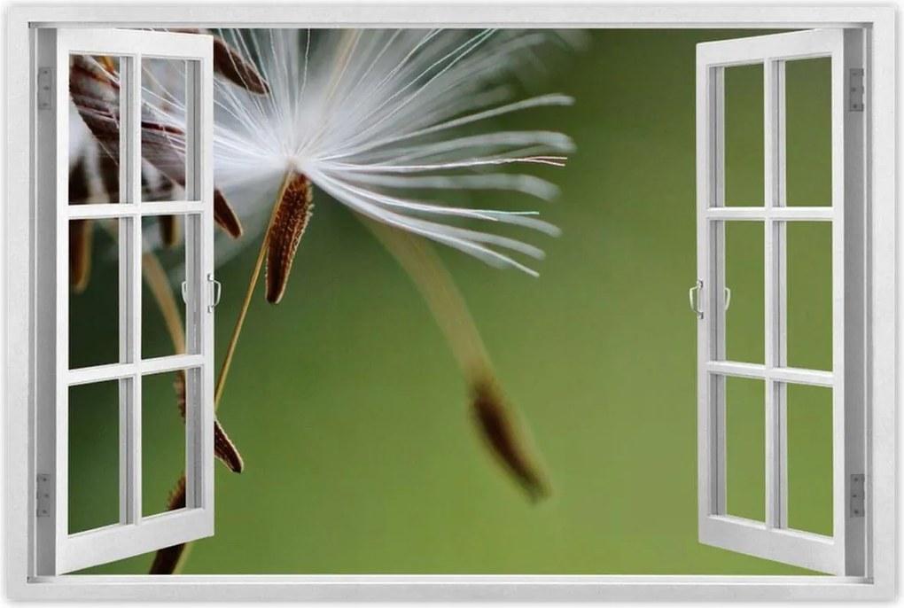 Poszterek 120x80 Pitypang Virág Virágok