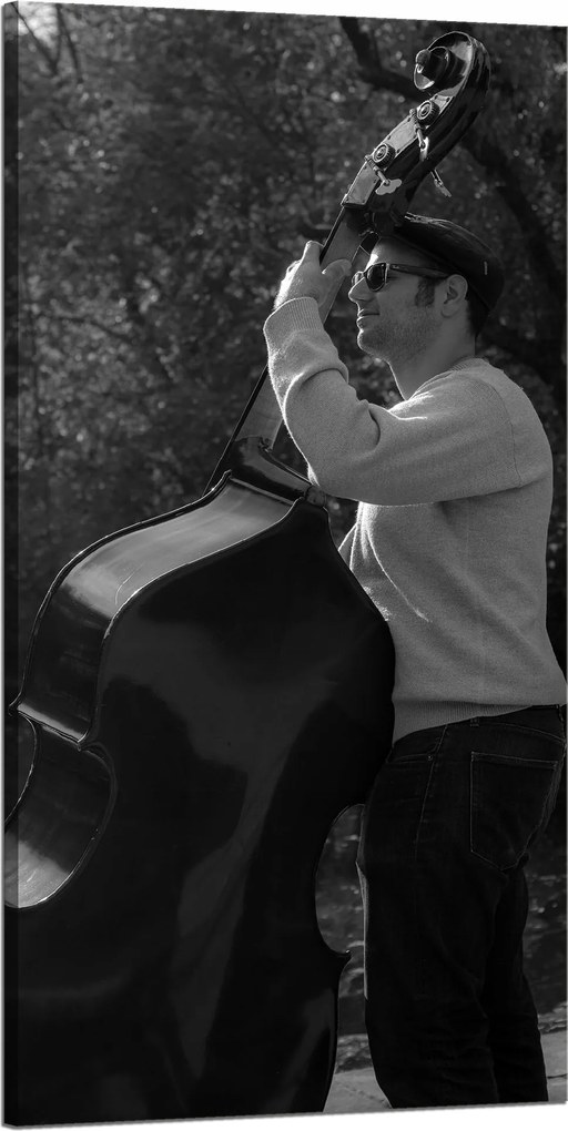 Vászonkép Zene Zenész nagybőgő Hangszerek 60x120 cm