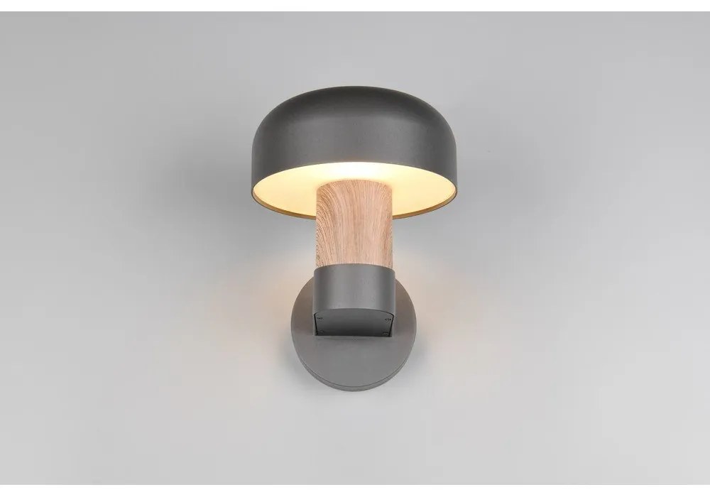 Fali kültéri lámpa (magasság 24,5 cm) Fraser – Trio