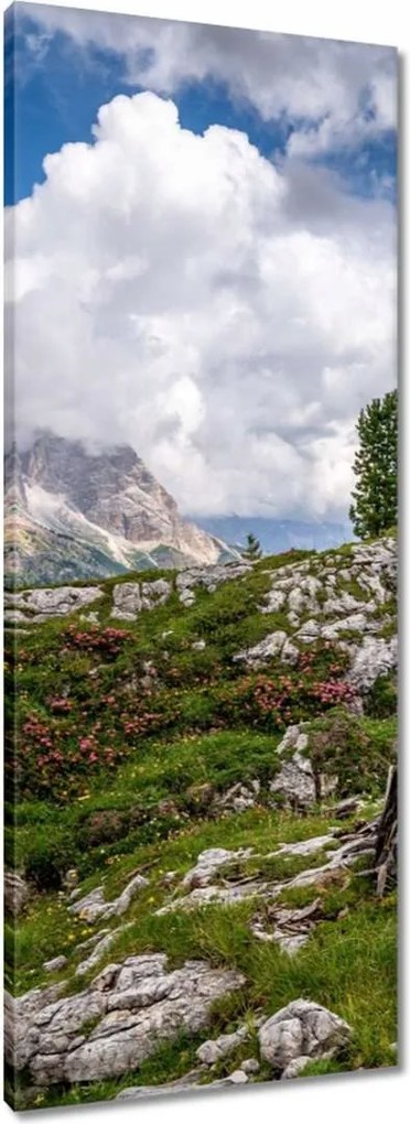 Vászonkép 40x100 Bárány a hegyekben Kilátás