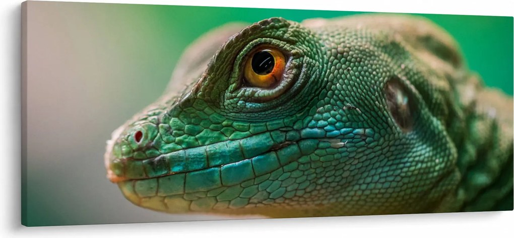 Részletes kép a gyíkról (120x50 cm)