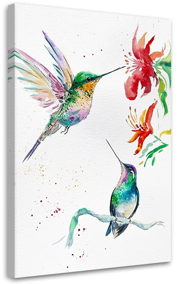 Gario Vászonkép Kolibri - Dorota Martynska Méret: 80 x 120 cm