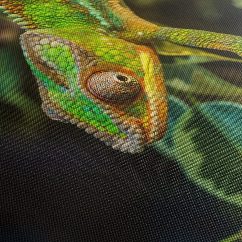 Kaméleon képe (90x60 cm)