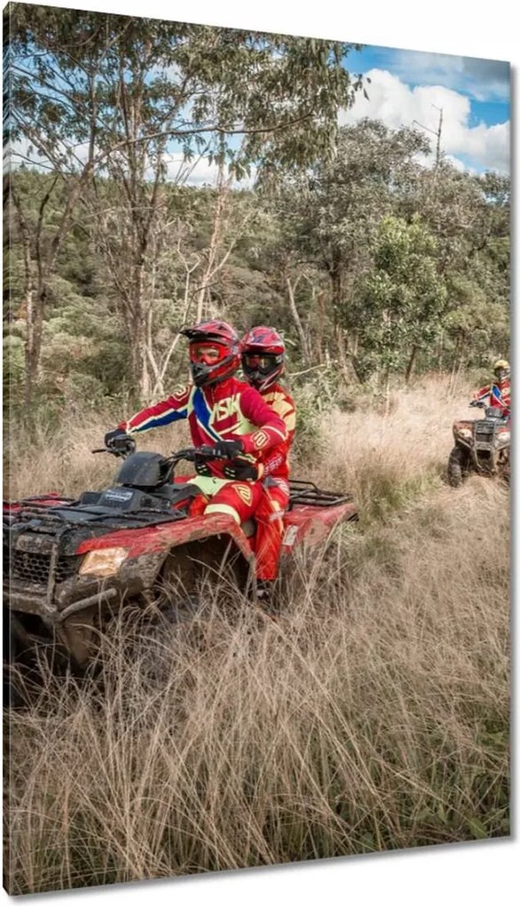 Vászonkép 80x120 Quad Négy kerék Terep