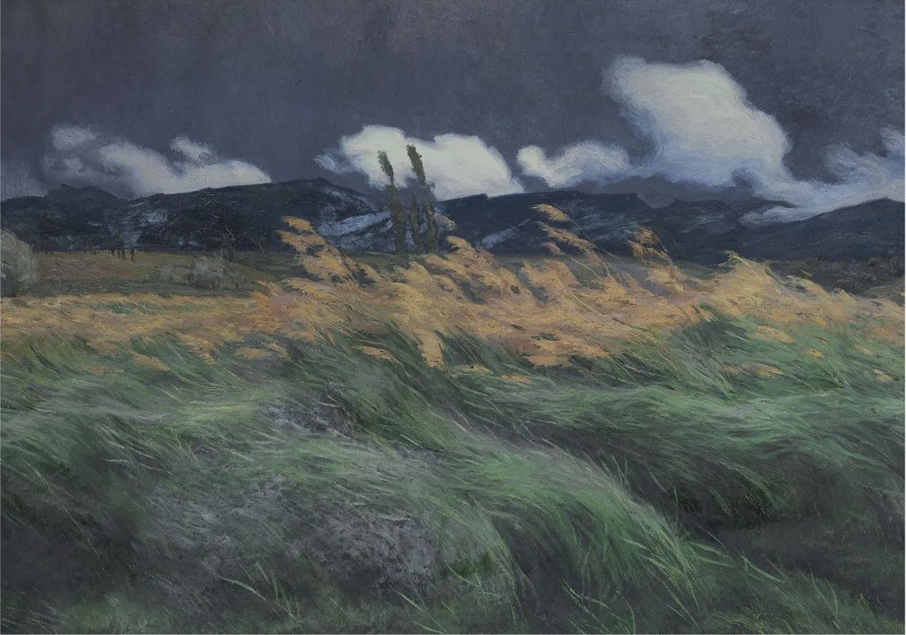 Fotótapéta Fali ragasztó szett Felfújható fű 312x219 Ragasztó