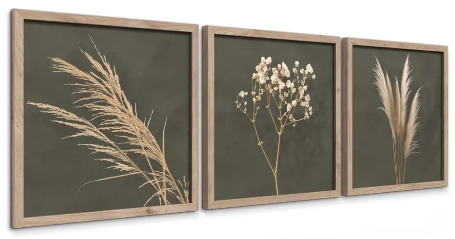 Kép szett 3 db-os 30x30 cm Pampas – Styler