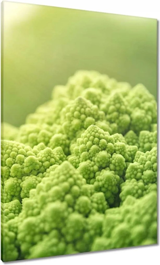 Festmények 70x100 Konyhai képek Forradalmak