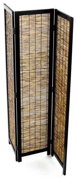 Barna Paraván. EF-L174 BK