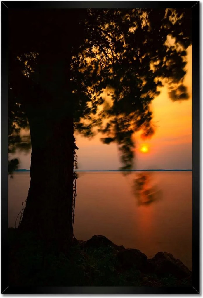 Poszterek keretben 40x60 Fa naplemente