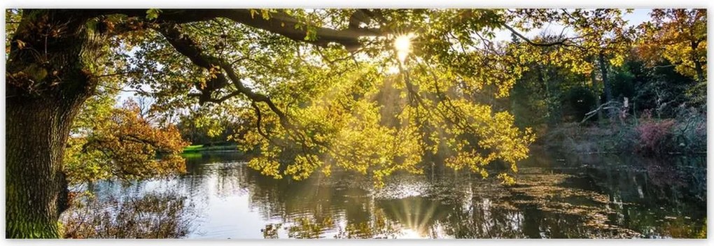 Poszterek 200x66 Tájkép