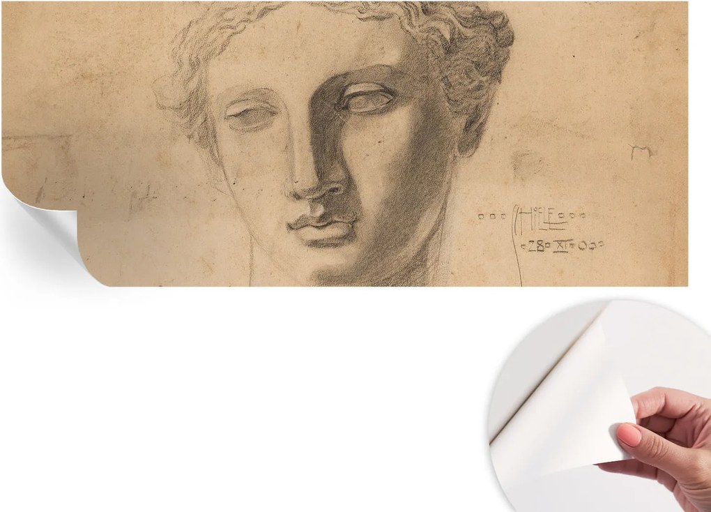 Öntapadós Dekoratív Fotótapéta Hálószobába Női portré 250x104 cm