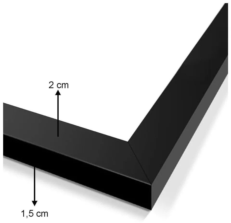 Kép szett 5 db-os Butterfly – Wallity