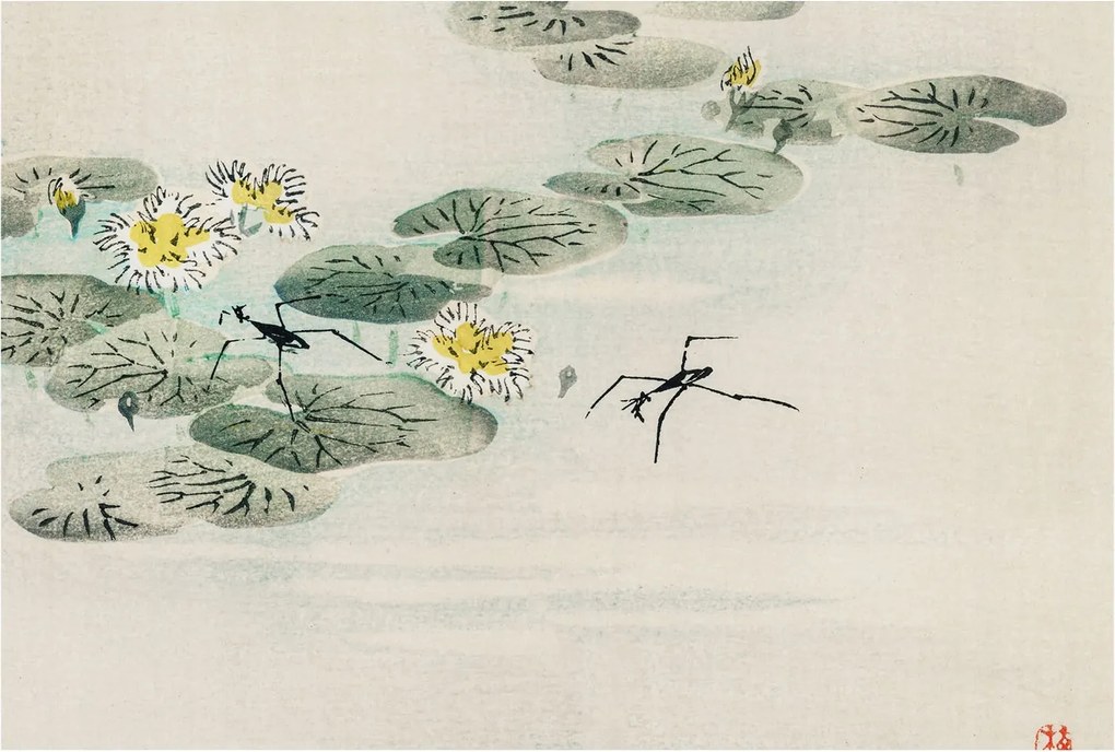 Flizelin fotótapéta Flizelin Design Nyugodt víz 104x70 Ragasztó