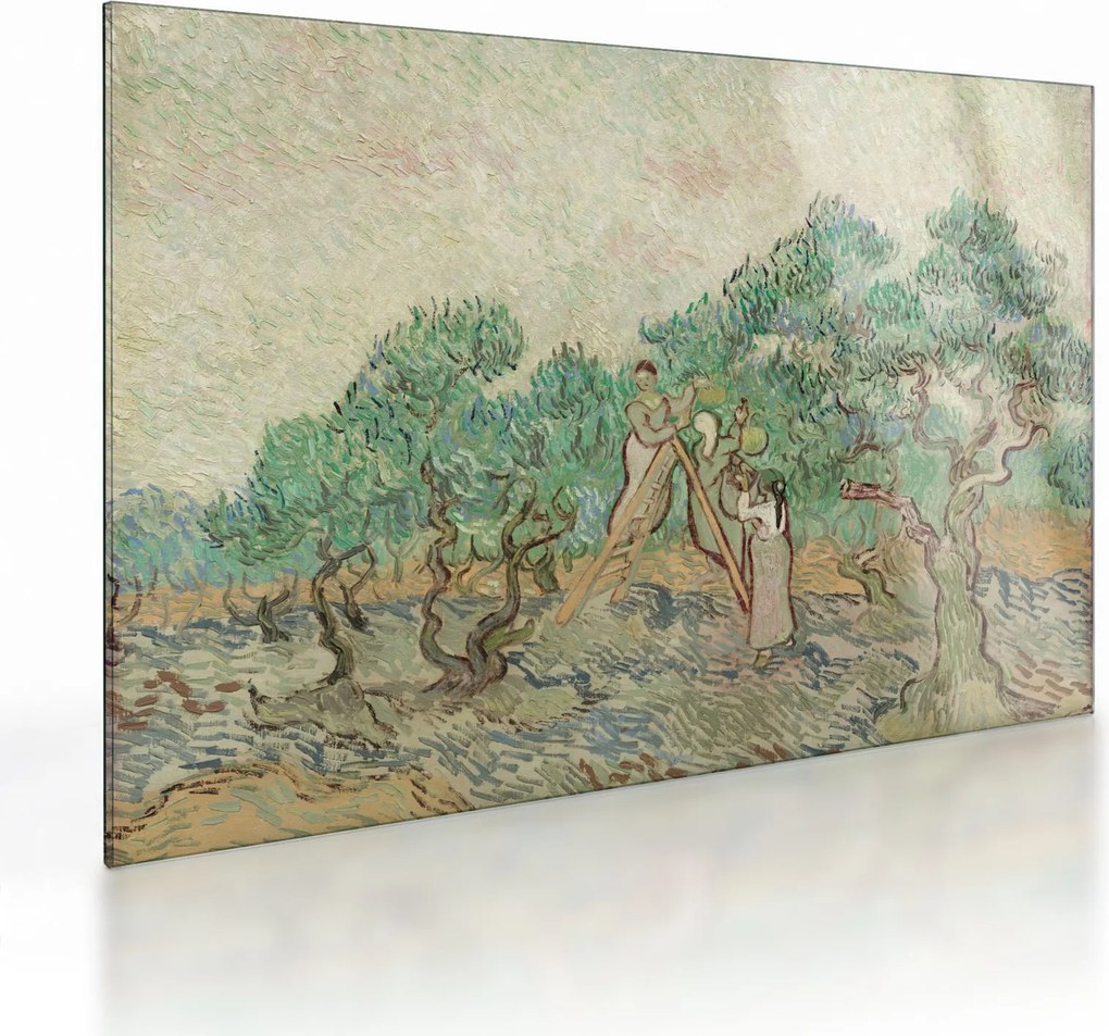 Üveg kép - Vincent van Gogh, The Olive Orchard, reprodukciók (70x50 cm)