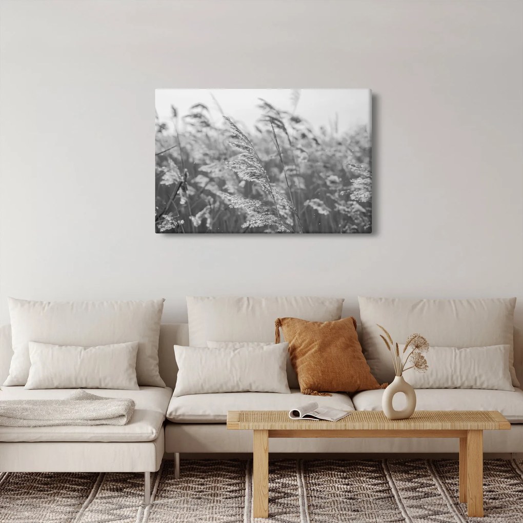Kép - Fű a szélben (90x60 cm)