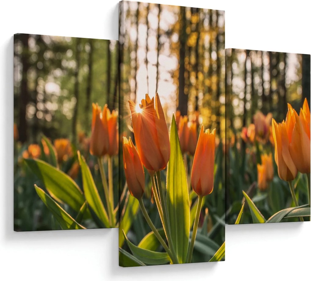 Narancssárga tulipán képe (90x60 cm)