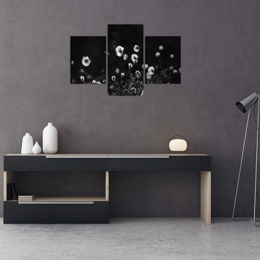 Kép - Gyapotfűvel borított rét N⁰1 (90x60 cm)