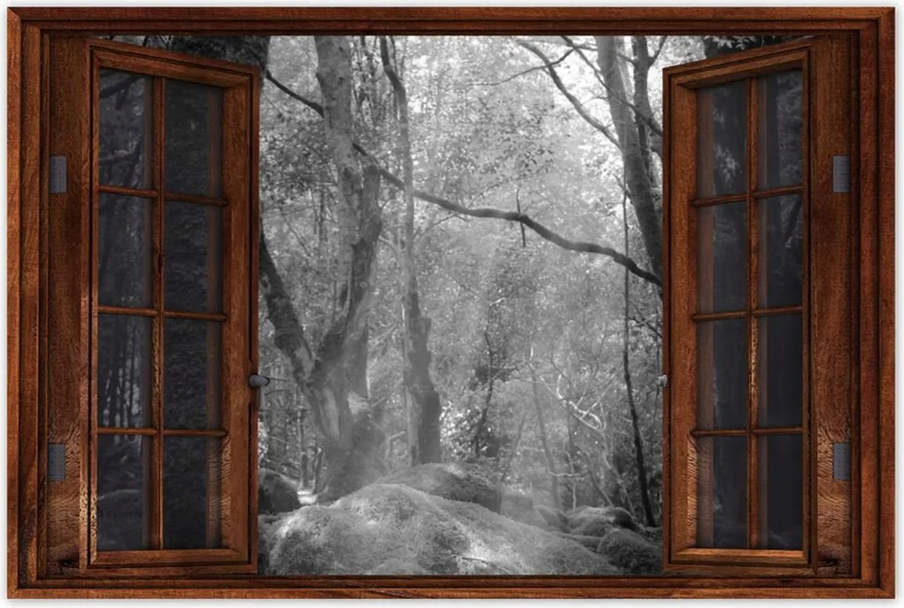 Poszterek 60x40 Rejtélyes erdő Sugárzás