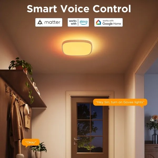 Govee - LED RGBIC Dimmelhető mennyezeti lámpa LED/24W/230V 2700-6500K Wi-Fi