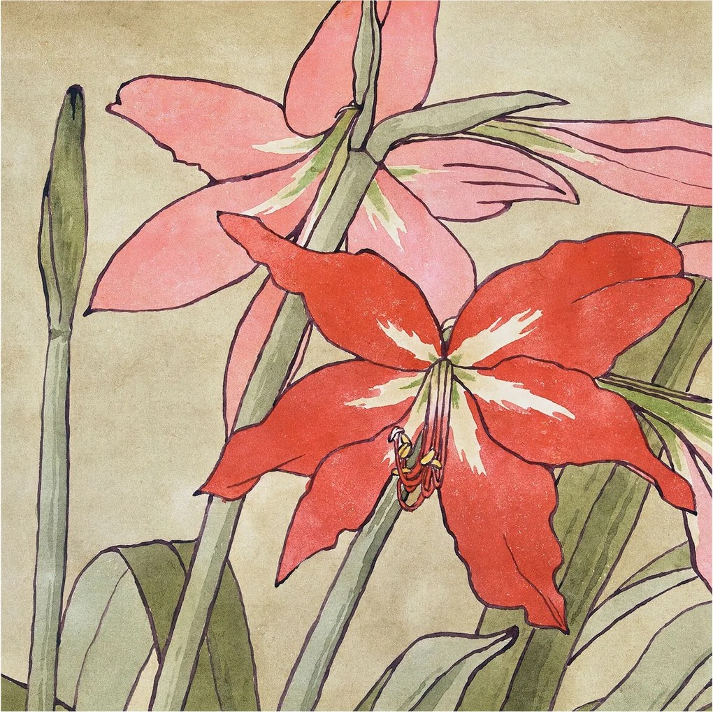 Flizelina Dekoratív Fotótapéta Hálószobába Liliom virágok 250x250 Ragasztó