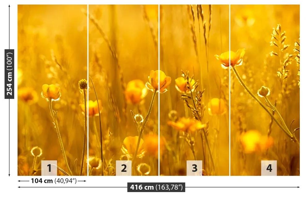 Fotótapéta mezei virágok 104x70 cm