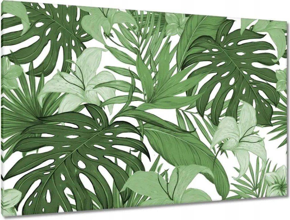 Festmények 120x80 Monstera Modern minta