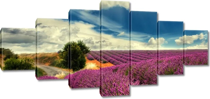 Vászonkép 210x100 Levendulamező