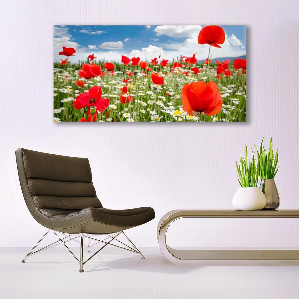 Vászonkép falra Mezei virágok Természet 120x60 cm