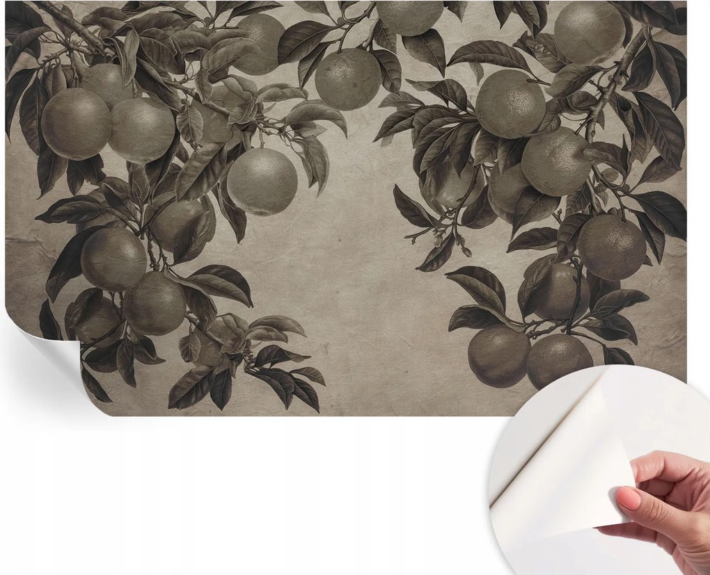 Öntapadós Dekoratív Fotótapéta Hálószobába Gyümölcsös minta 416x254 cm