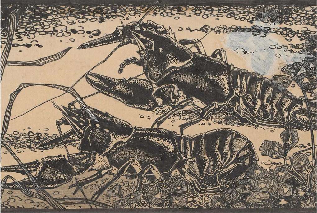 Flizelin fotótapéta Flizelin Design Vízi rákok 104x70 Ragasztó