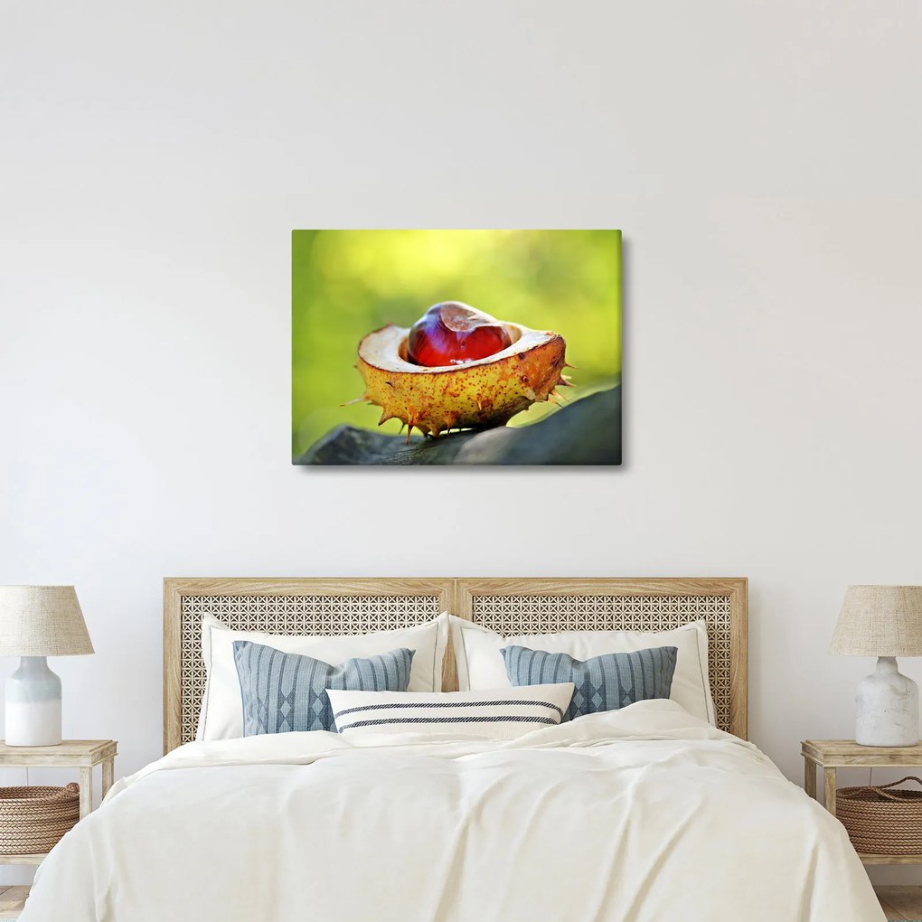 Gesztenye képe (70x50 cm)