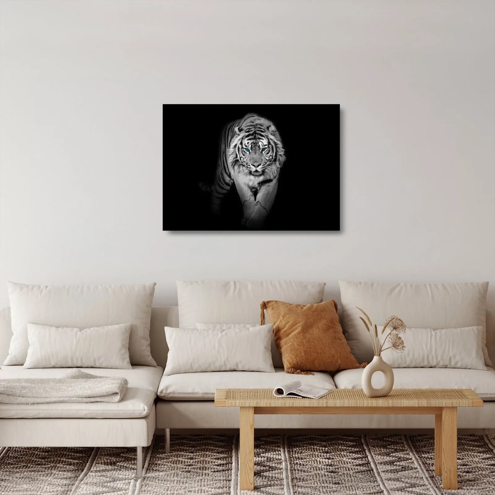 Üveg kép - Tigris kék szemekkel (70x50 cm)