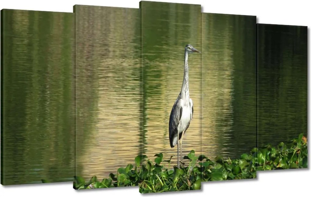 Vászonkép 100x60 Kalapos madár Tájkép Kilátás