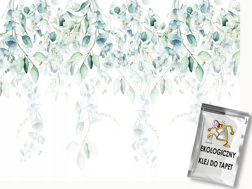 Fotótapéta Flizelina Akvarell Természet Ágak Levelek Eukaliptusz 100x75 ragasztó