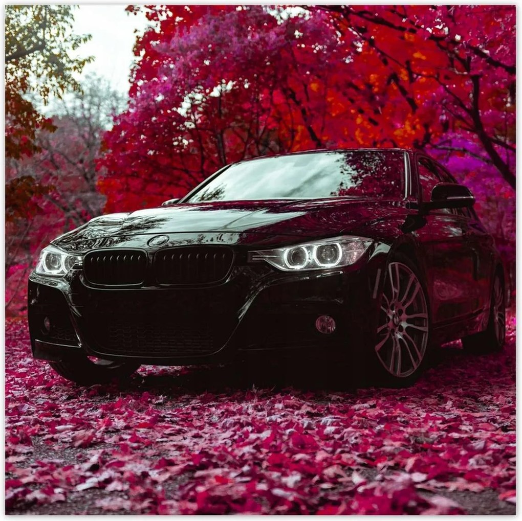 Poszterek 30x30 Fekete Bmw Ősz