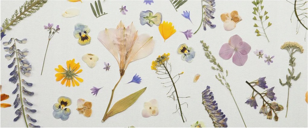 Fotótapéta Flizelin Dekoratív Hálószoba Tavaszi virágok 250x104 Ragasztó